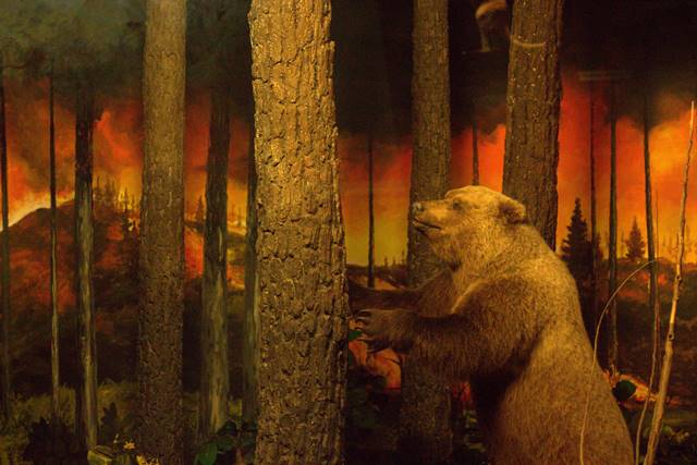 Diorama Kebakaran Hutan Museum Satwa - Hewan Pun Bisa Panik [Jatim Park]