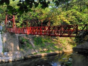 Mitos Jembatan Putus Cinta di Kebun Raya Bogor
